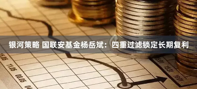 银河策略 国联安基金杨岳斌：四重过滤锁定长期复利
