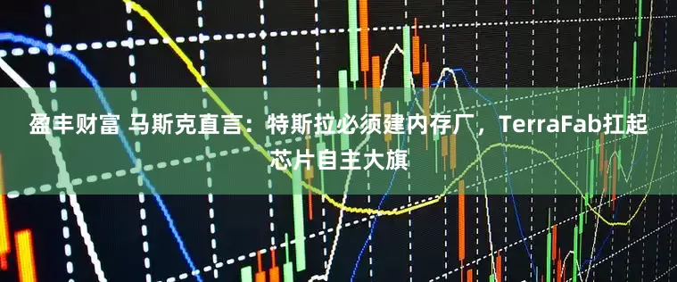 盈丰财富 马斯克直言：特斯拉必须建内存厂，TerraFab扛起芯片自主大旗